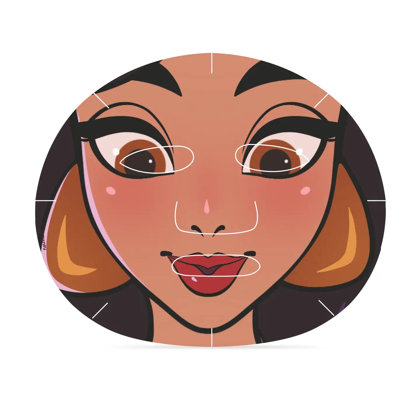 Disney Princess Facemask Collection Set